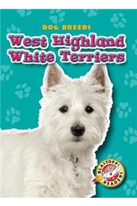 West Highland White Terriers