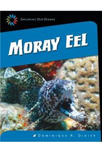 Moray Eel