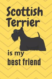 Scottish Terrier is my best friend