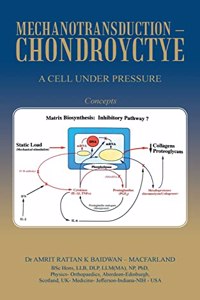 Mechanotransduction - Chondroyctye