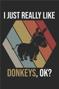 I Just Really Like Donkeys, OK?