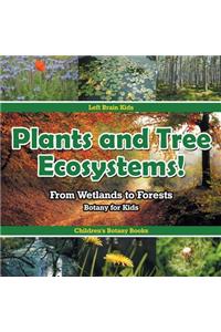 Plants and Tree Ecosystems! From Wetlands to Forests - Botany for Kids - Children's Botany Books