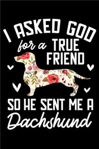 I Asked God For A True Friend So He Sent Me A Dachshund