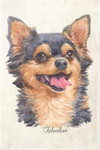 Chihuahua - Long Coat Dog Portrait Notebook