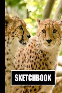 Sketchbook