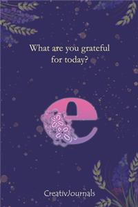 Gratitude Journal for Writers