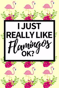I Just Really Like Flamingos Ok?
