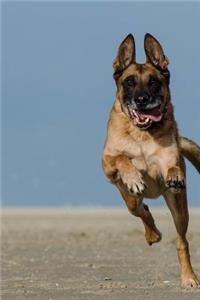 Belgian Shepherd Dog Malinois Leaping High Journal