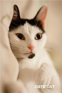 Cute Cat
