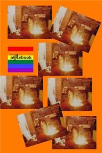 Equality Notebook