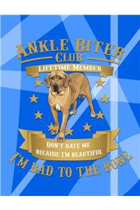 Ankle Biter Club Lifetime Member: Don't Hate Me Because I'm Beautiful, I'm Bad to the Bone - Bloodhound