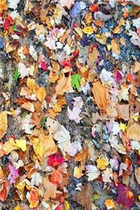 2019 Weekly Planner Colorful Autumn Leaves Ground 134 Pages