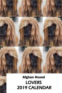 Afghan Hound Lovers 2019 Calendar
