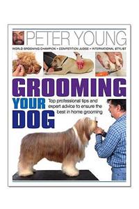 Grooming Your Dog