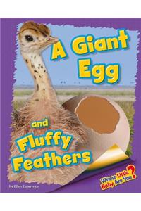 A Giant Egg and Fluffy Feathers (Ostrich)