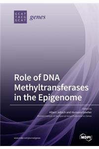 Role of DNA Methyltransferases in the Epigenome