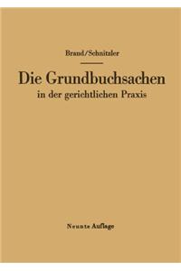 Die Grundbuchsachen in der gerichtlichen Praxis