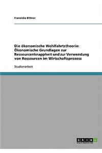 ökonomische Wohlfahrtstheorie: Ökonomische Grundlagen zur Ressourcenknappheit und zur Verwendung von Ressourcen im Wirtschaftsprozess