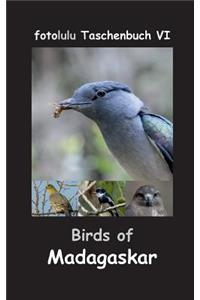 Birds of Madagaskar
