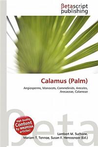 Calamus (Palm)
