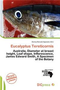 Eucalyptus Tereticornis