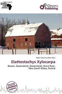 Elattostachys Xylocarpa