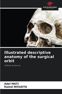 Illustrated descriptive anatomy of the surgical orbit