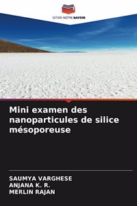 Mini examen des nanoparticules de silice mésoporeuse