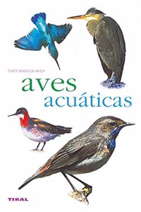 Aves acuaticas