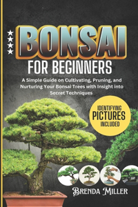 Bonsai for beginners