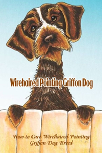 Wirehaired Pointing Griffon Dog