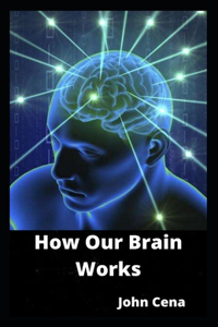 How Our Brain Works