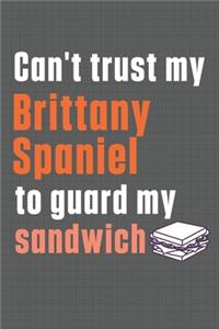 Can't trust my Brittany Spaniel to guard my sandwich