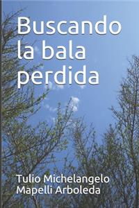 Buscando la bala perdida