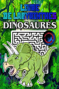 Livre de Labyrinthes Dinosaures