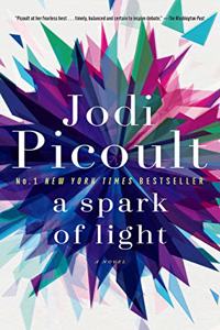 A Spark of Light: A Novel