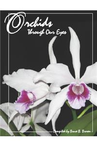 Orchids Through Our Eyes