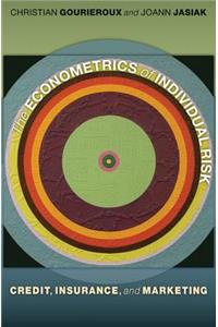 The Econometrics of Individual Risk