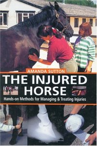 The Injured Horse