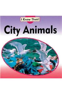 City Animals