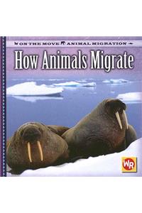 How Animals Migrate