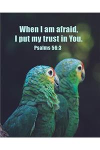 When I Am Afraid, I Put My Trust in You - Psalms 56