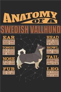 Anatomy Of A Swedish Vallhund
