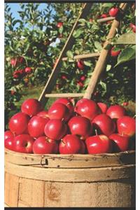 Apples in the Orchard Portable Notebook
