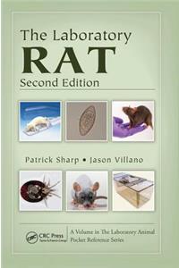 Laboratory Rat