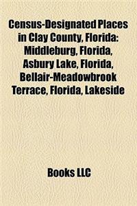 Census-Designated Places in Clay County, Florida