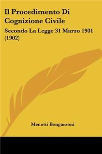 Il Procedimento Di Cognizione Civile