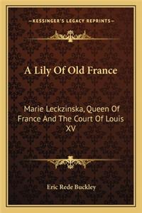 Lily of Old France