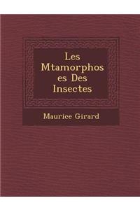Les M Tamorphoses Des Insectes