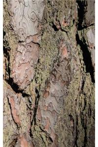Wood II - Sweden - Photo Art Notebooks (5 x 8 series)